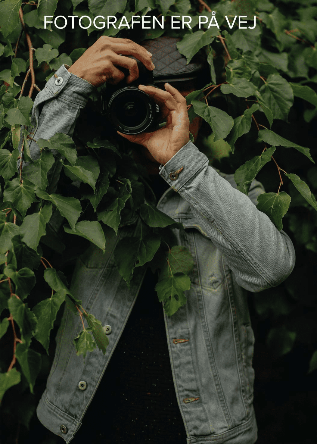 Picture of Bo Kæmpe