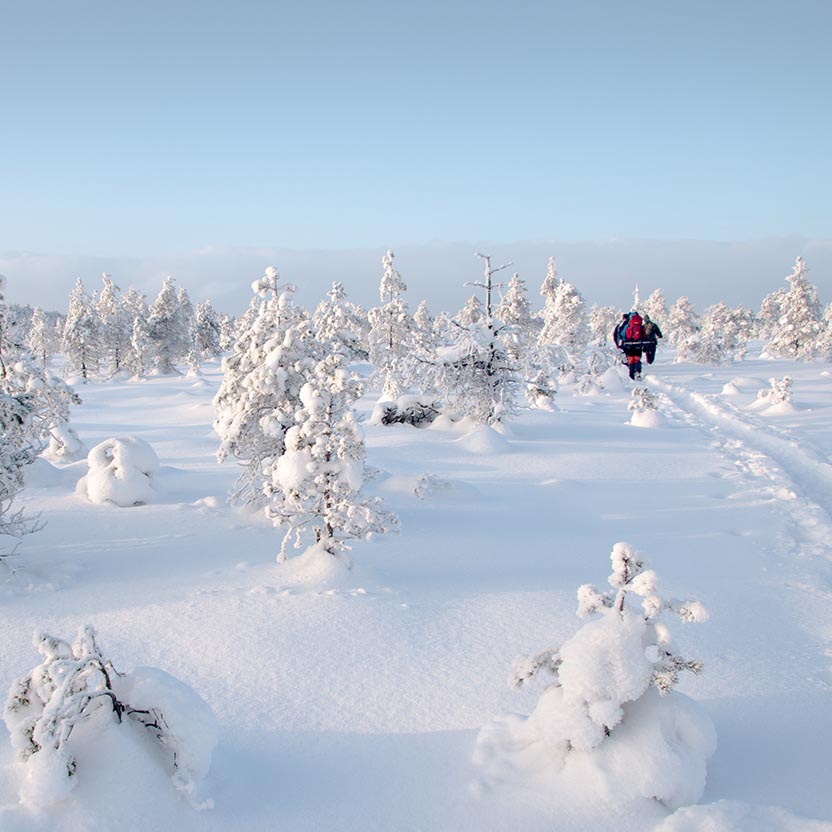 Image Article Nord For Polarcirklen Istock