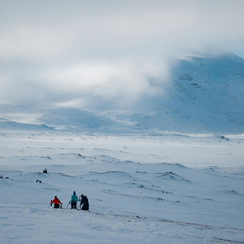 Image Article Nord For Polarcirklen Istock 2