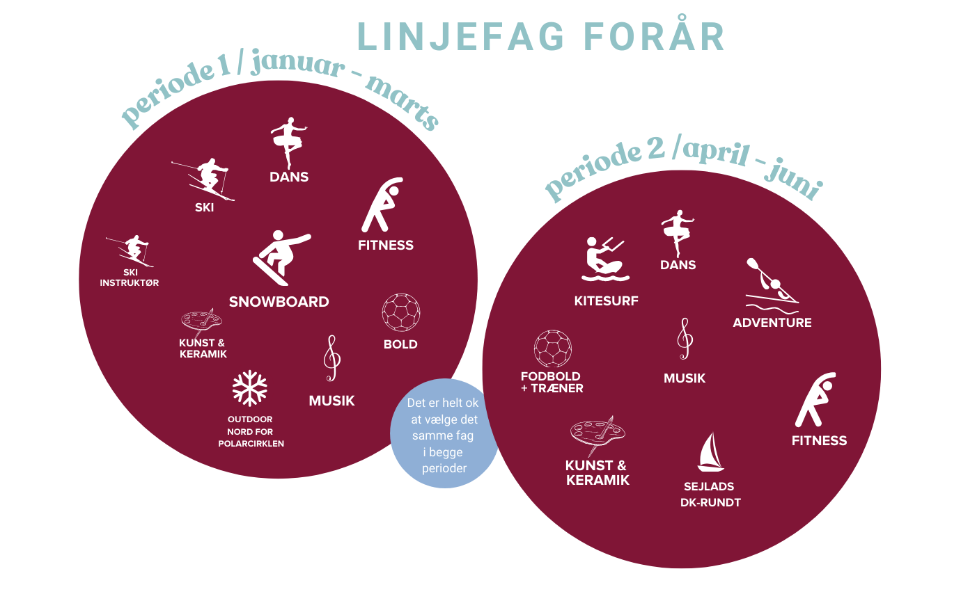 Grafisk Overblik Over Linjer På Højskolen