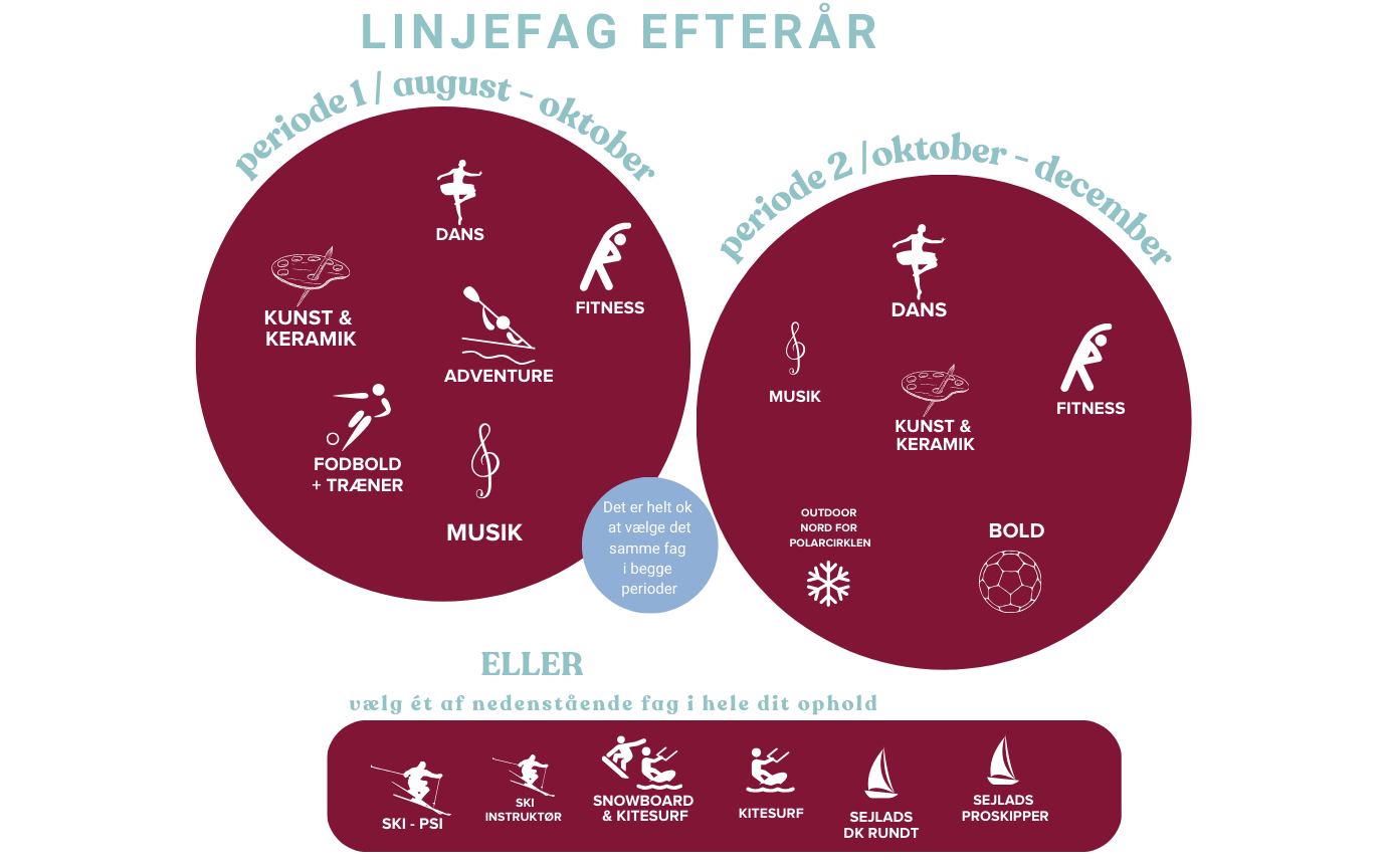 Grafisk Overblik Over Linjer På Højskolen (1)