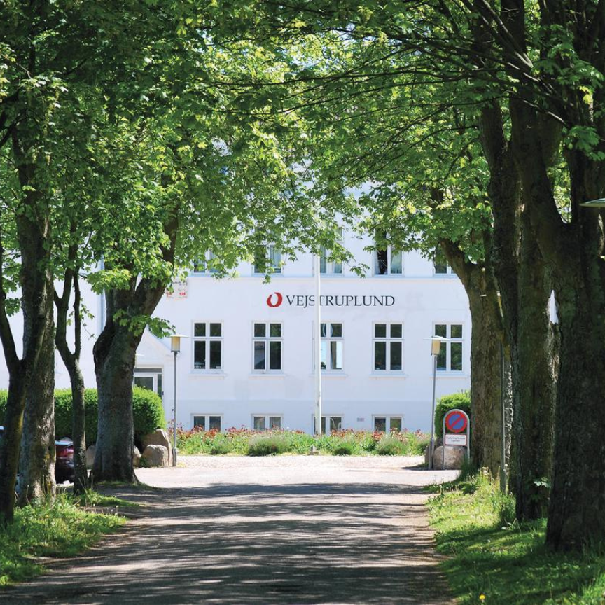 Image Article, Landingpage (1)