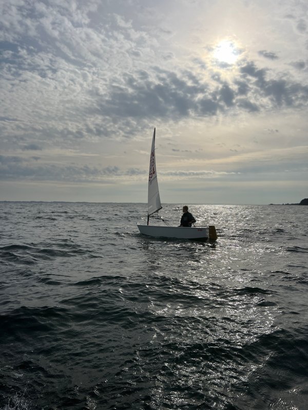 IMG 3654 800Px