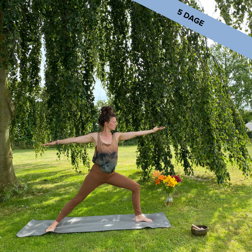 Landingpage, Korte Kurser, Yoga, Forside