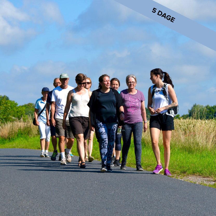 Landingpage, Korte Kurser, Oehop