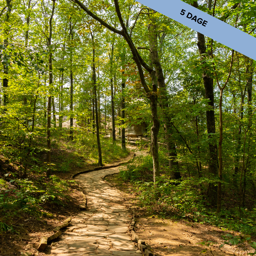 Landingpage, Korte Kurser, Ohop (4)