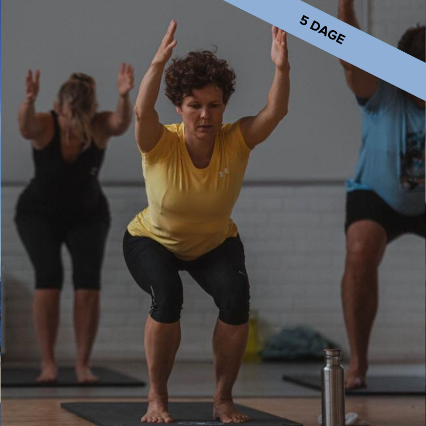 Landingpage, Korte Kurser, Ohop (8)