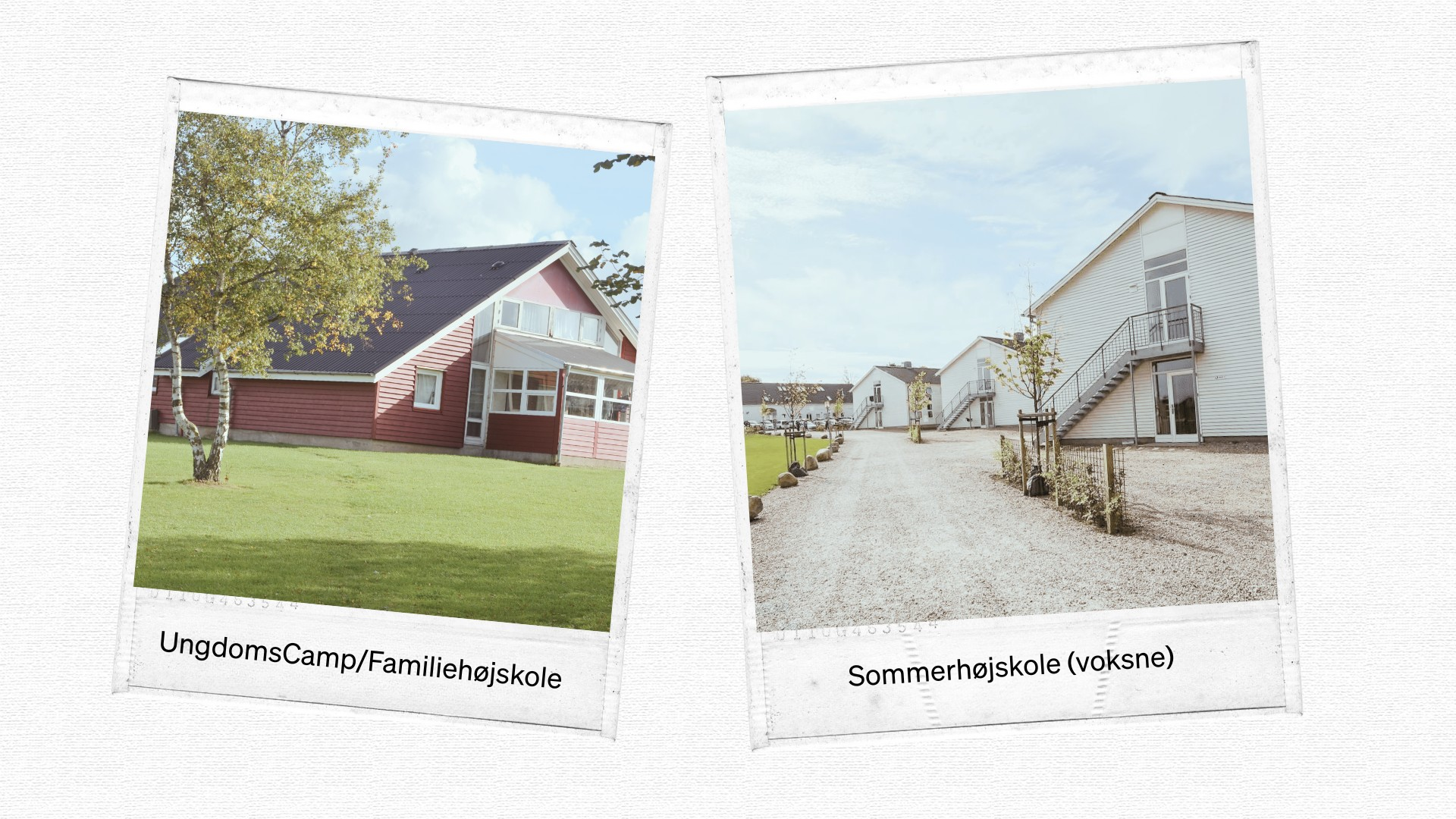 Header, Sommerkuser, Indkvartering