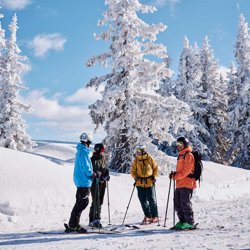 Image Article Højmark Ski Højskole