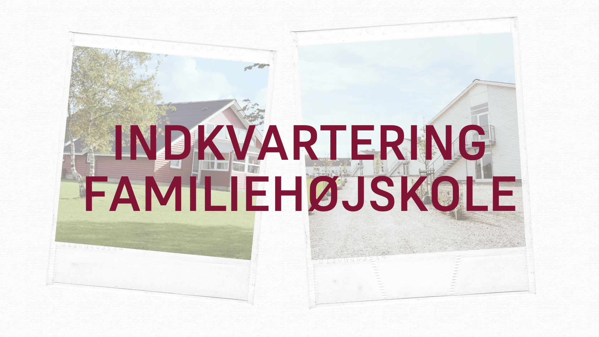 Header, Sommerkuser, Indkvartering (1)