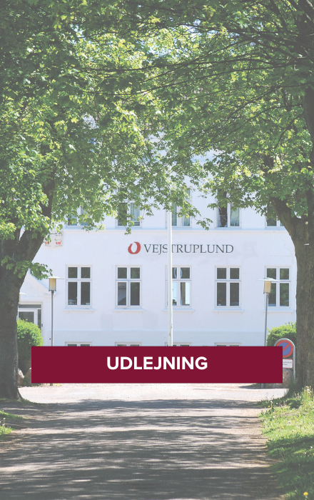 UDLEJNING
