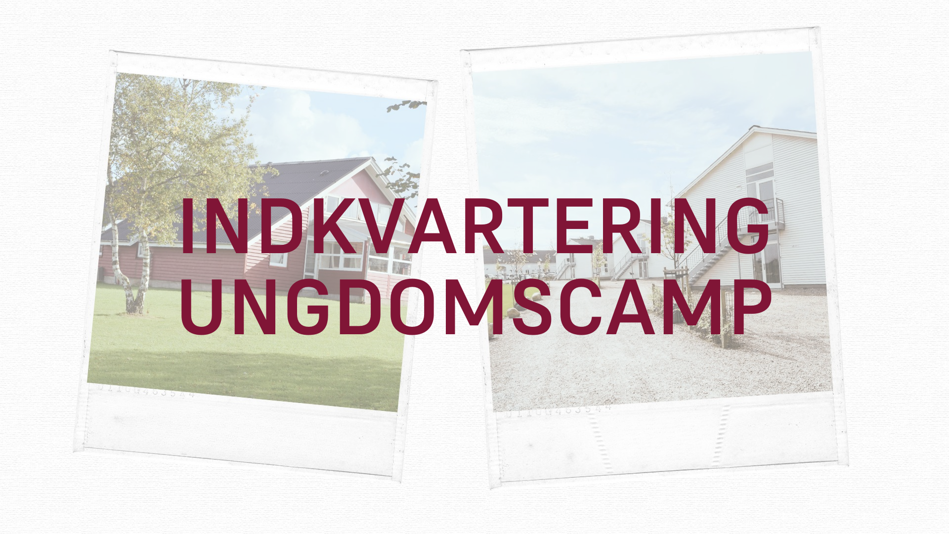 Header, Sommerkuser, Indkvartering (3)