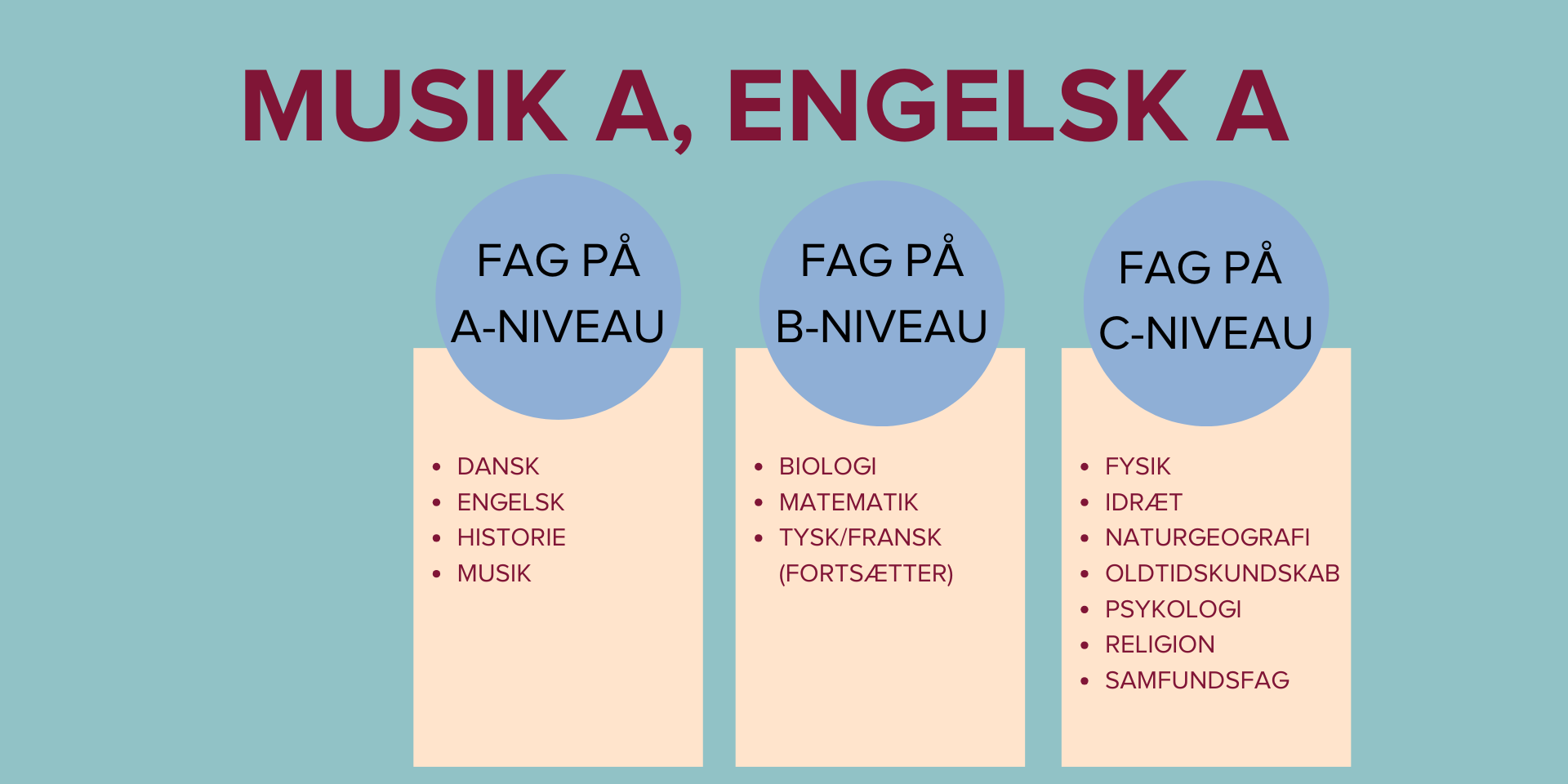 Studieretninger (1920 × 960Px) (1) (1)