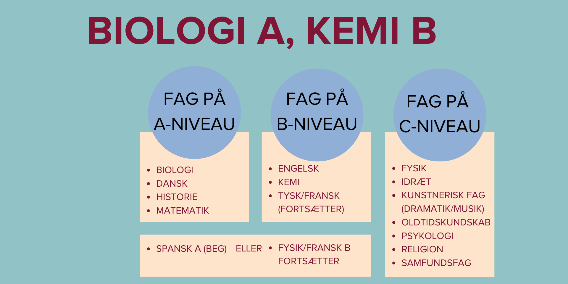 Studieretninger (1920 × 960Px) (2) (1)