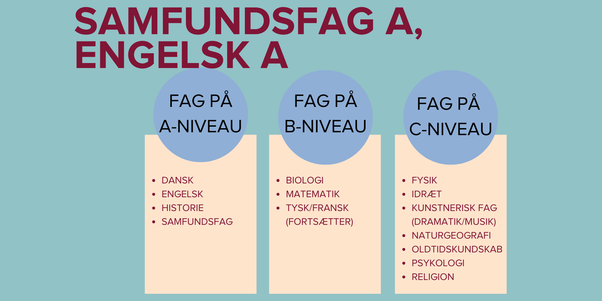 Studieretninger (1920 × 960Px) (3) (1)