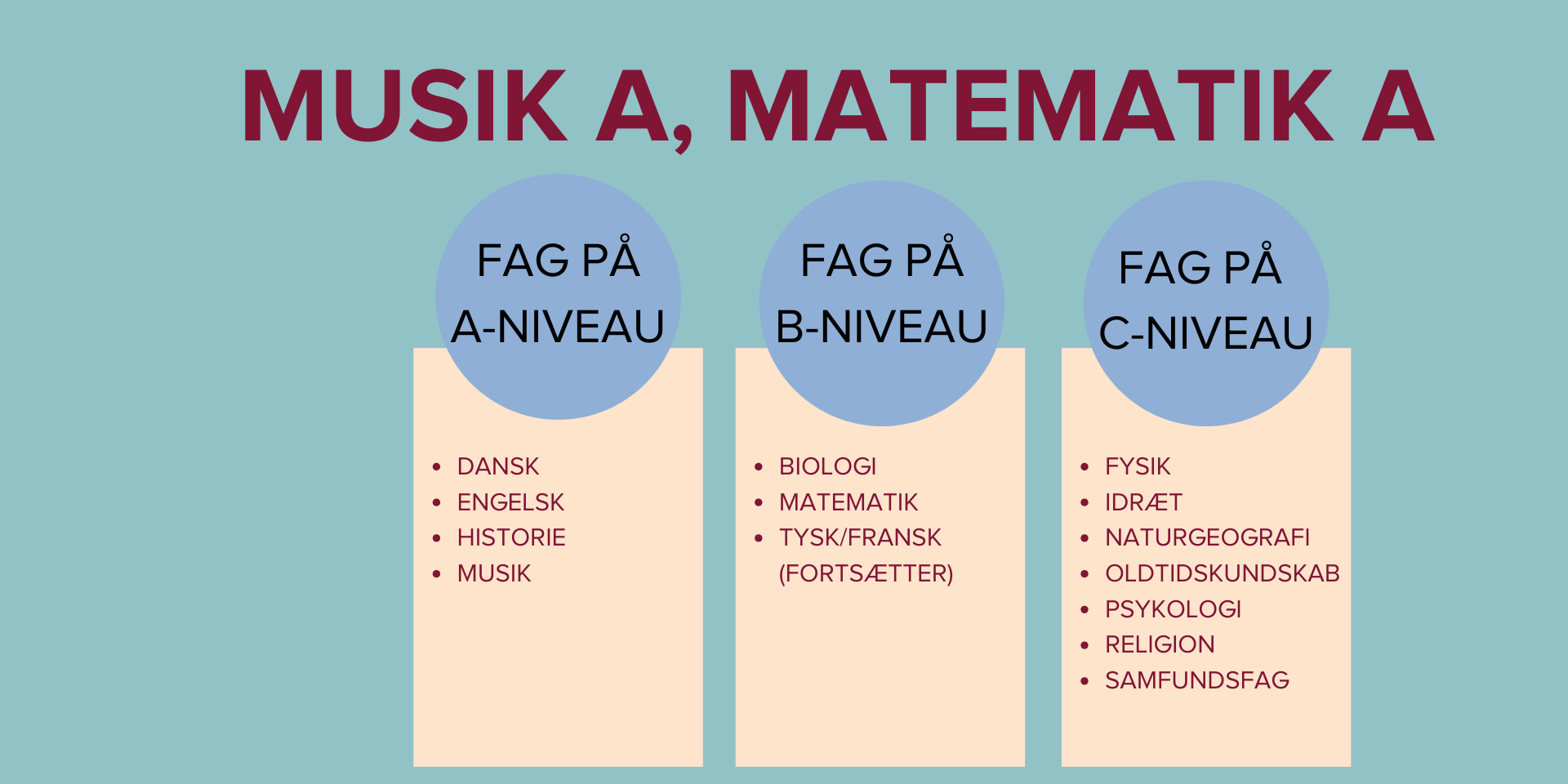 Studieretninger (1920 × 960Px) (4) (1)
