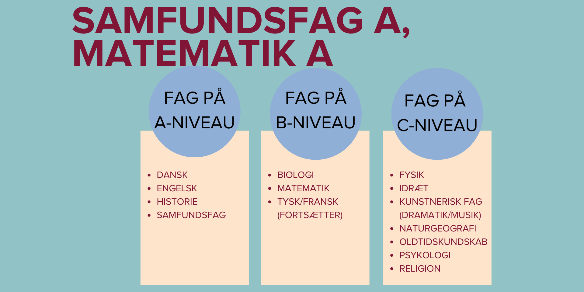 Studieretninger (1920 × 960Px) (5) (1)