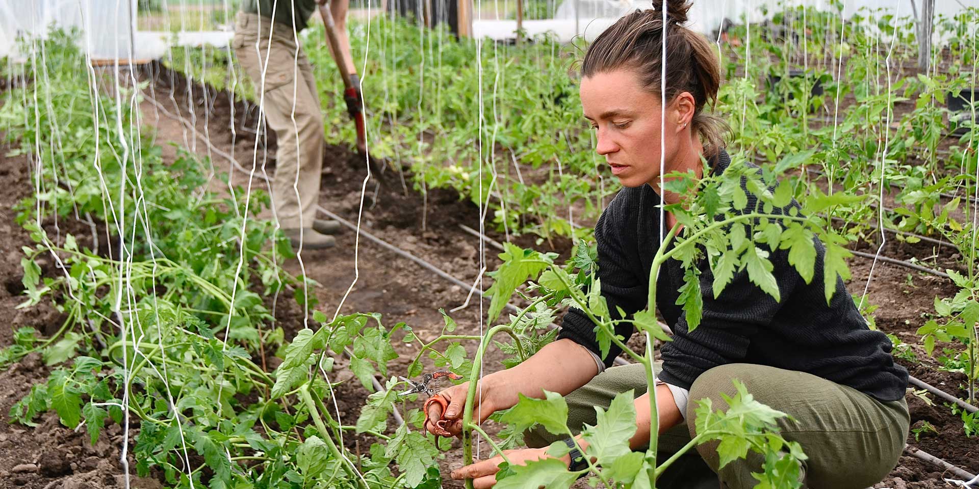 Header Job I Haven 2