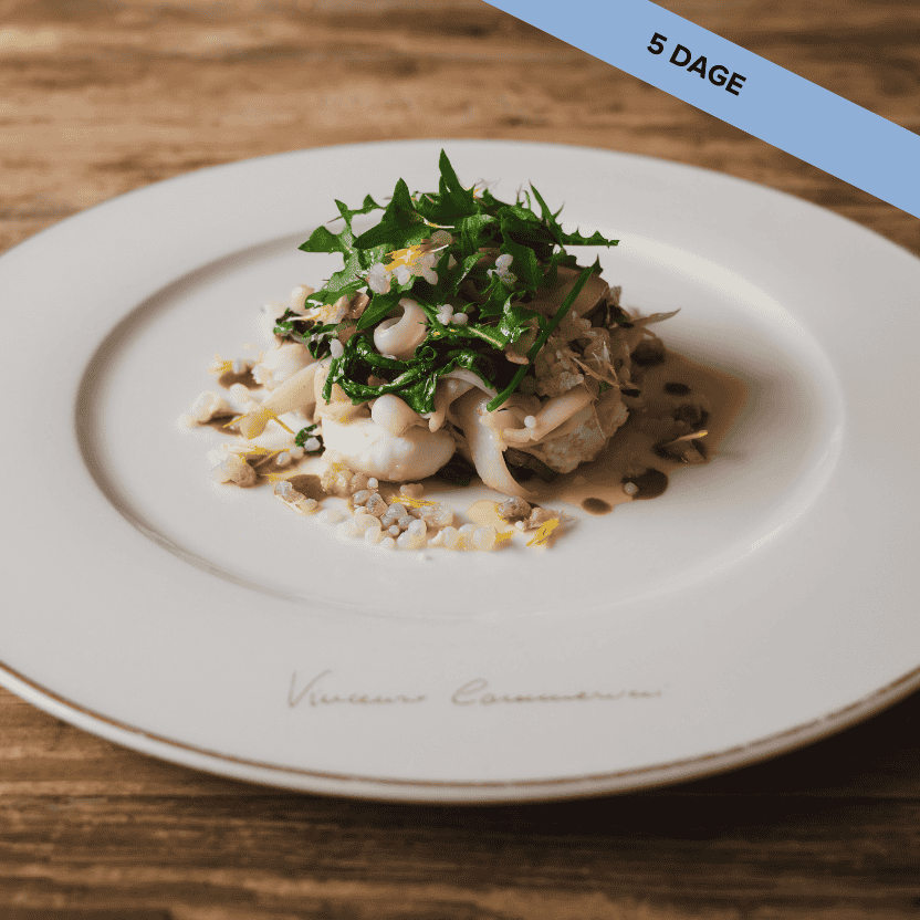 Landingpage, Korte Kurser, Oetiloe (1)