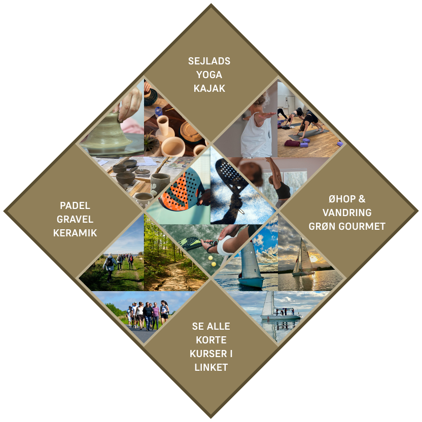 Korte Kurser Linjer (1)