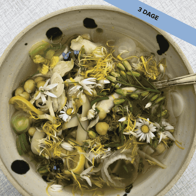 Landingpage, Korte Kurser, Oetiloe (3)